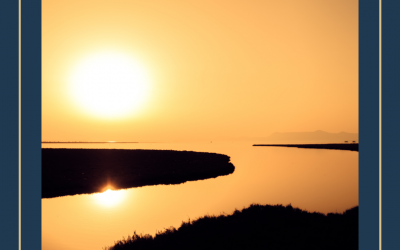 The Hindu Religion: 4 Things to Include When Scattering Ashes of a Loved One in the UK